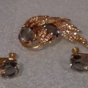 Vintage Castle cliff brooch and earring set stunning